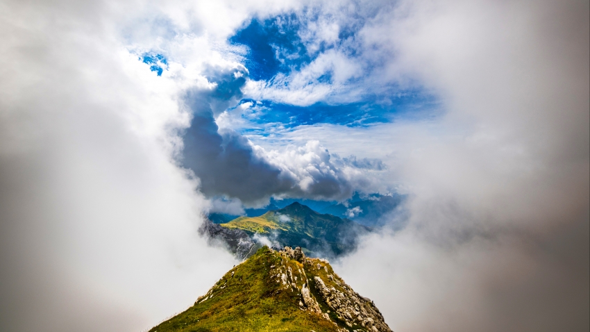 社区文化艺术展览